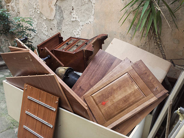 Yard Cleanup Services in Bromley, KY